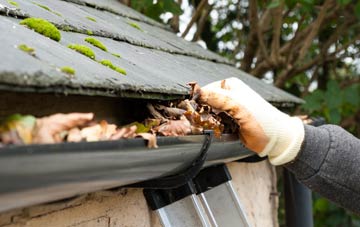 gutter cleaning Rockland St Mary, Norfolk